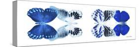 Miss Butterfly X-Ray Duo White Pano X-Philippe Hugonnard-Stretched Canvas