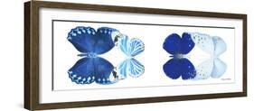 Miss Butterfly X-Ray Duo White Pano XI-Philippe Hugonnard-Framed Photographic Print