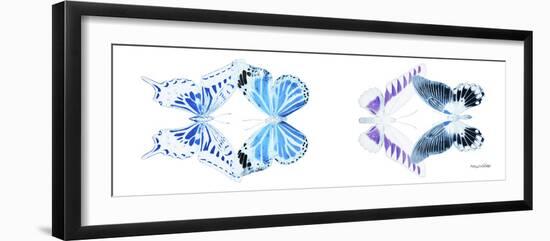 Miss Butterfly X-Ray Duo White Pano XII-Philippe Hugonnard-Framed Photographic Print