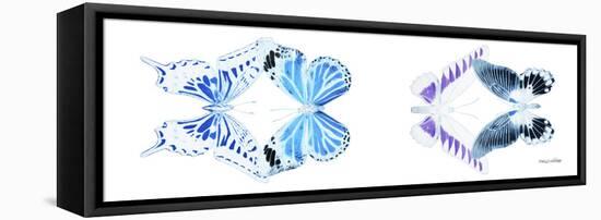 Miss Butterfly X-Ray Duo White Pano XII-Philippe Hugonnard-Framed Stretched Canvas