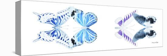 Miss Butterfly X-Ray Duo White Pano XII-Philippe Hugonnard-Stretched Canvas