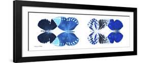 Miss Butterfly X-Ray Duo White Pano XIII-Philippe Hugonnard-Framed Photographic Print