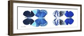 Miss Butterfly X-Ray Duo White Pano XIII-Philippe Hugonnard-Framed Photographic Print