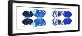 Miss Butterfly X-Ray Duo White Pano XIII-Philippe Hugonnard-Framed Photographic Print