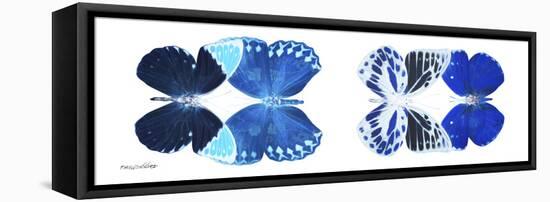 Miss Butterfly X-Ray Duo White Pano XIII-Philippe Hugonnard-Framed Stretched Canvas