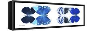 Miss Butterfly X-Ray Duo White Pano XIII-Philippe Hugonnard-Framed Stretched Canvas