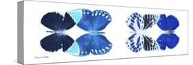 Miss Butterfly X-Ray Duo White Pano XIII-Philippe Hugonnard-Stretched Canvas