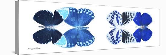 Miss Butterfly X-Ray Duo White Pano XIII-Philippe Hugonnard-Stretched Canvas