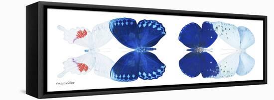 Miss Butterfly X-Ray Duo White Pano-Philippe Hugonnard-Framed Stretched Canvas