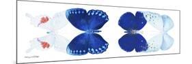 Miss Butterfly X-Ray Duo White Pano-Philippe Hugonnard-Mounted Photographic Print