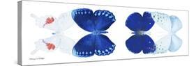 Miss Butterfly X-Ray Duo White Pano-Philippe Hugonnard-Stretched Canvas
