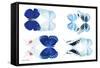 Miss Butterfly X-Ray Duo White V-Philippe Hugonnard-Framed Stretched Canvas