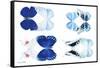 Miss Butterfly X-Ray Duo White V-Philippe Hugonnard-Framed Stretched Canvas