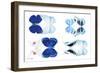 Miss Butterfly X-Ray Duo White V-Philippe Hugonnard-Framed Photographic Print