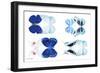 Miss Butterfly X-Ray Duo White V-Philippe Hugonnard-Framed Photographic Print