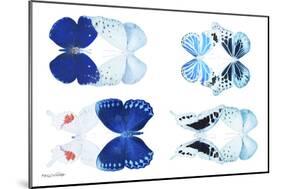 Miss Butterfly X-Ray Duo White V-Philippe Hugonnard-Mounted Photographic Print