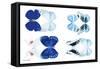 Miss Butterfly X-Ray Duo White V-Philippe Hugonnard-Framed Stretched Canvas