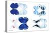 Miss Butterfly X-Ray Duo White V-Philippe Hugonnard-Stretched Canvas