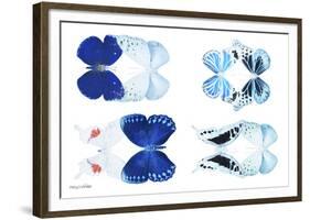 Miss Butterfly X-Ray Duo White V-Philippe Hugonnard-Framed Photographic Print