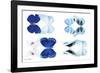 Miss Butterfly X-Ray Duo White V-Philippe Hugonnard-Framed Photographic Print