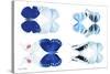 Miss Butterfly X-Ray Duo White V-Philippe Hugonnard-Stretched Canvas