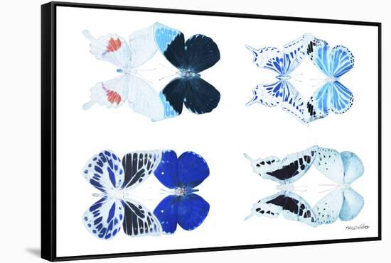 Miss Butterfly X-Ray Duo White VI-Philippe Hugonnard-Framed Stretched Canvas