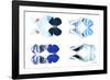 Miss Butterfly X-Ray Duo White VI-Philippe Hugonnard-Framed Photographic Print