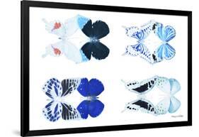 Miss Butterfly X-Ray Duo White VI-Philippe Hugonnard-Framed Photographic Print