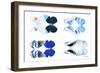 Miss Butterfly X-Ray Duo White VI-Philippe Hugonnard-Framed Photographic Print