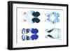 Miss Butterfly X-Ray Duo White VI-Philippe Hugonnard-Framed Photographic Print