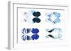 Miss Butterfly X-Ray Duo White VI-Philippe Hugonnard-Framed Photographic Print