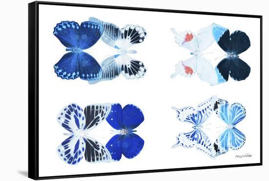 Miss Butterfly X-Ray Duo White VII-Philippe Hugonnard-Framed Stretched Canvas