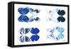 Miss Butterfly X-Ray Duo White VII-Philippe Hugonnard-Framed Stretched Canvas