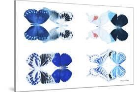 Miss Butterfly X-Ray Duo White VII-Philippe Hugonnard-Stretched Canvas