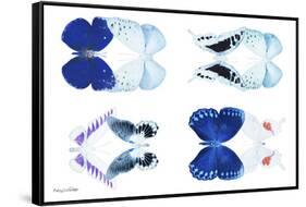 Miss Butterfly X-Ray Duo White-Philippe Hugonnard-Framed Stretched Canvas