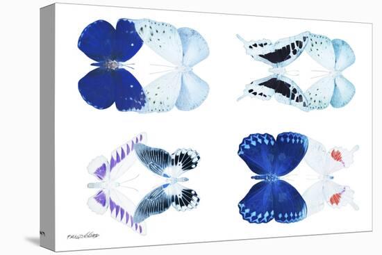 Miss Butterfly X-Ray Duo White-Philippe Hugonnard-Stretched Canvas