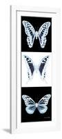 Miss Butterfly X-Ray Pano II-Philippe Hugonnard-Framed Photographic Print