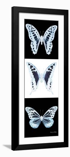 Miss Butterfly X-Ray Pano II-Philippe Hugonnard-Framed Photographic Print