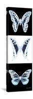 Miss Butterfly X-Ray Pano II-Philippe Hugonnard-Stretched Canvas