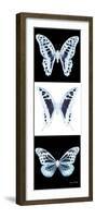 Miss Butterfly X-Ray Pano II-Philippe Hugonnard-Framed Photographic Print