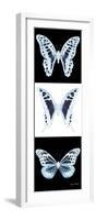 Miss Butterfly X-Ray Pano II-Philippe Hugonnard-Framed Photographic Print