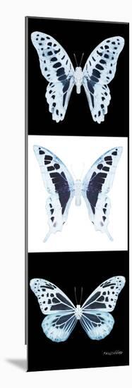 Miss Butterfly X-Ray Pano II-Philippe Hugonnard-Mounted Photographic Print