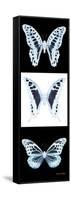 Miss Butterfly X-Ray Pano II-Philippe Hugonnard-Framed Stretched Canvas