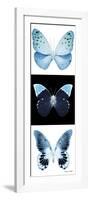 Miss Butterfly X-Ray Pano-Philippe Hugonnard-Framed Photographic Print