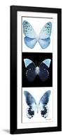 Miss Butterfly X-Ray Pano-Philippe Hugonnard-Framed Photographic Print