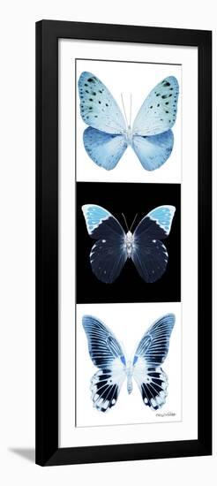 Miss Butterfly X-Ray Pano-Philippe Hugonnard-Framed Photographic Print