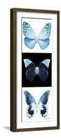 Miss Butterfly X-Ray Pano-Philippe Hugonnard-Framed Photographic Print