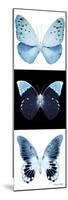 Miss Butterfly X-Ray Pano-Philippe Hugonnard-Mounted Photographic Print