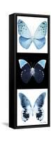 Miss Butterfly X-Ray Pano-Philippe Hugonnard-Framed Stretched Canvas