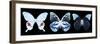 Miss Butterfly X-Ray Panoramic Black II-Philippe Hugonnard-Framed Photographic Print